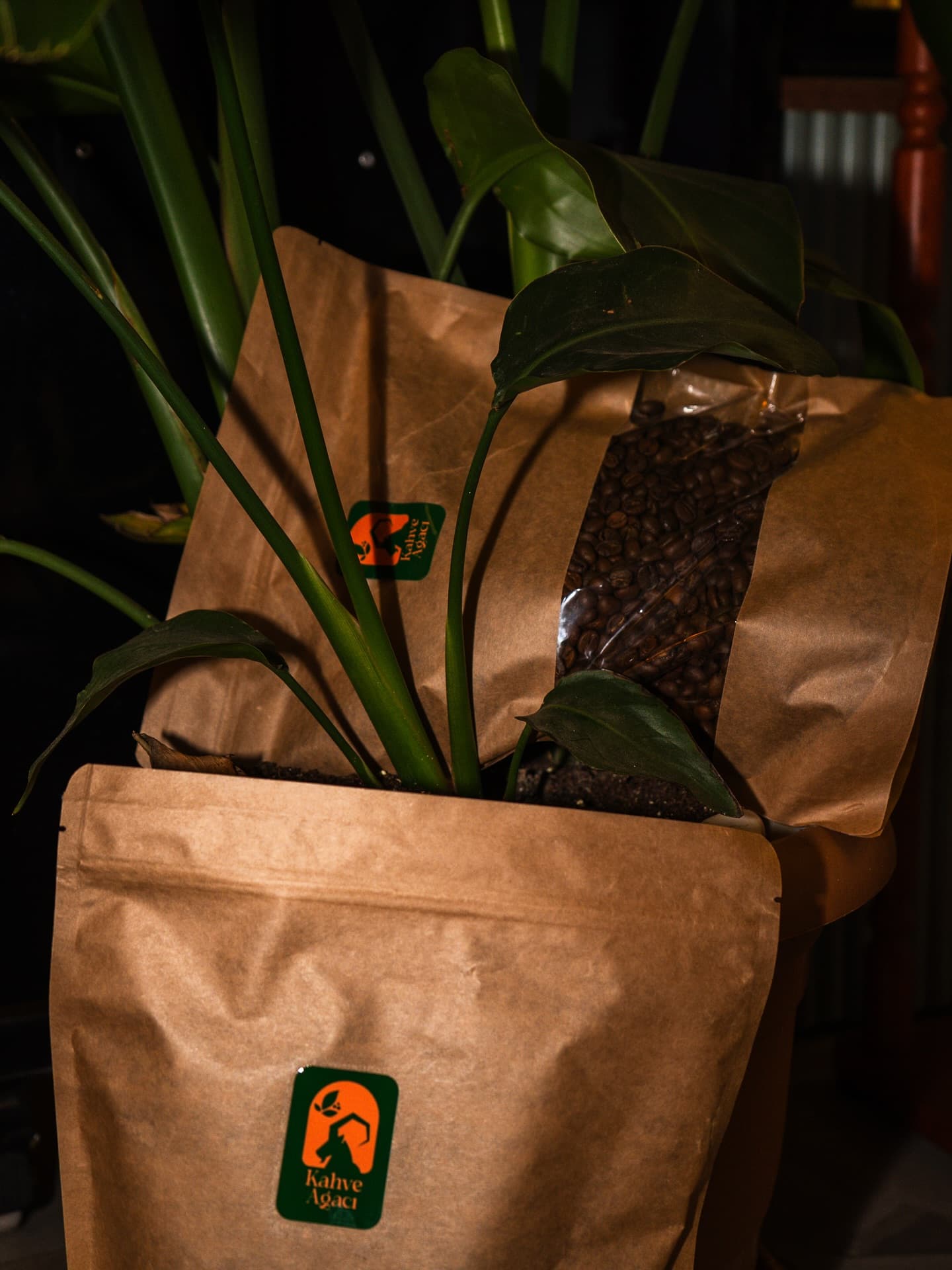 Kahve Ağacı markalı taze kavurma kahve paketi